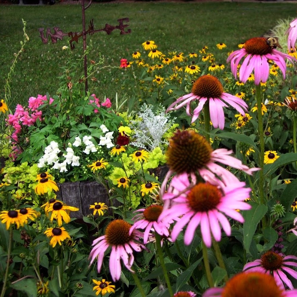 Meet your Posher, Jill